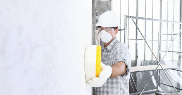 Best Mold Prevention Services  in Mount Holly Springs, PA